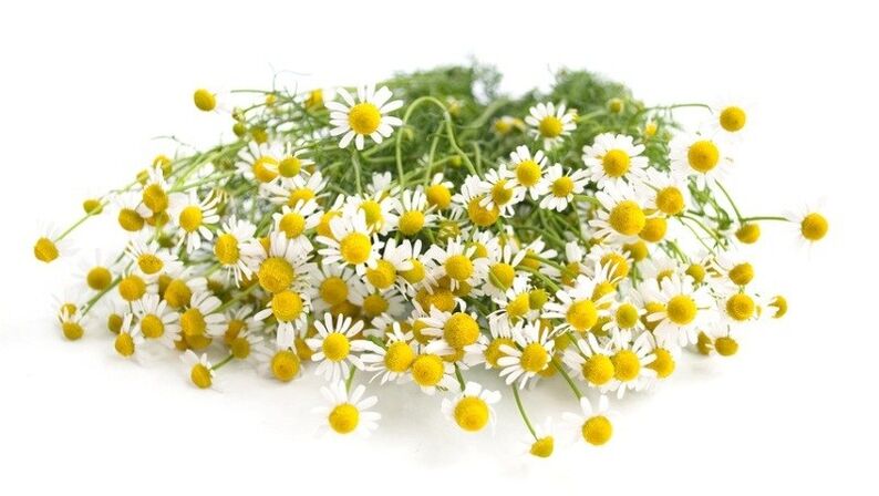 Chamomile is part of the Exodermin